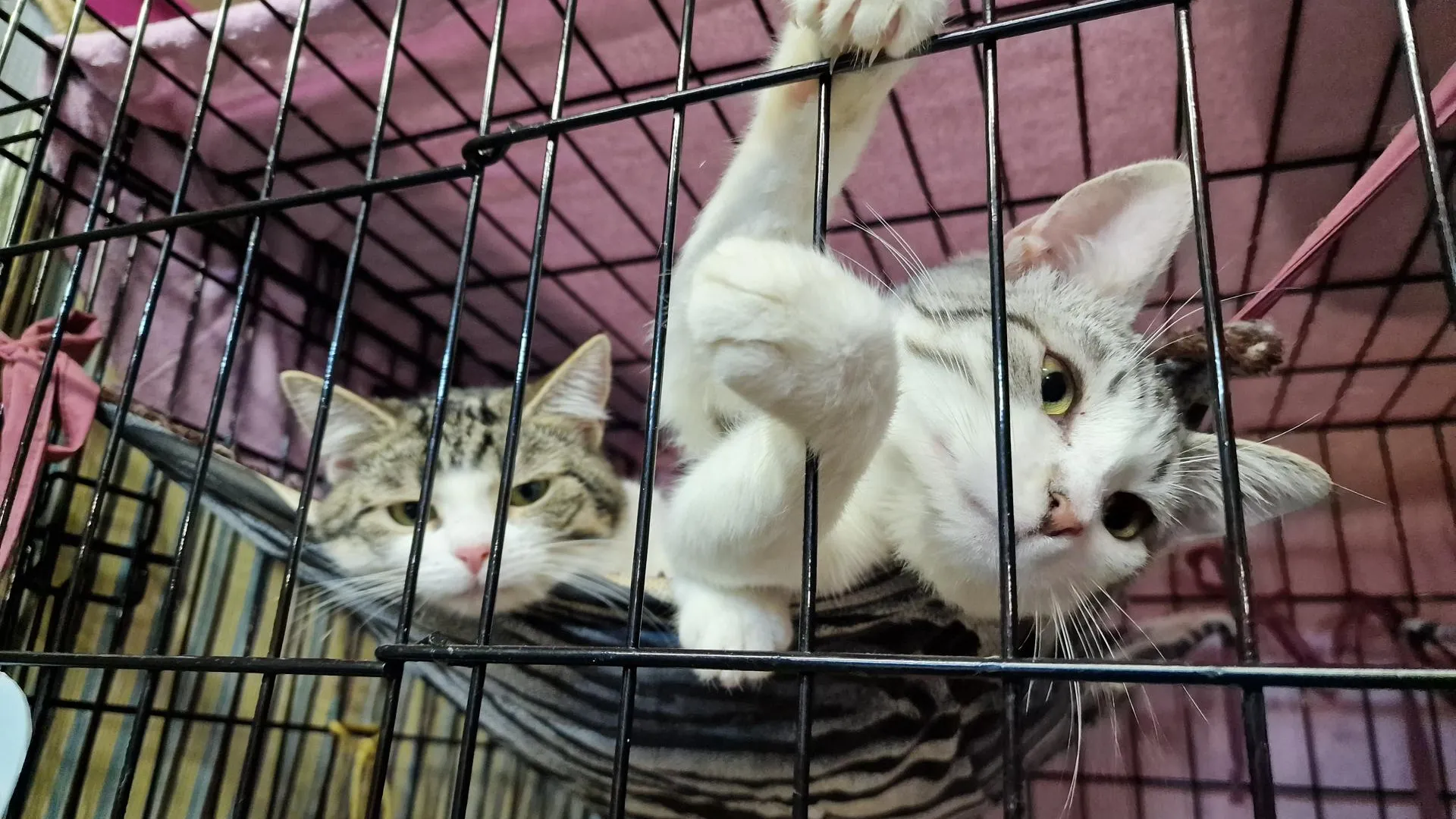 Фото: Анастасия Игнатова