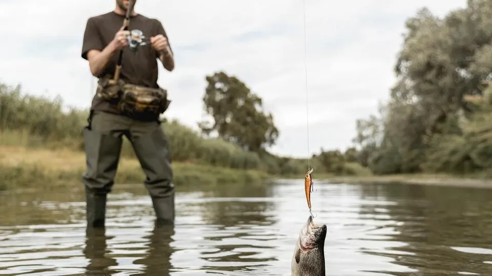 Фото: freepik.com