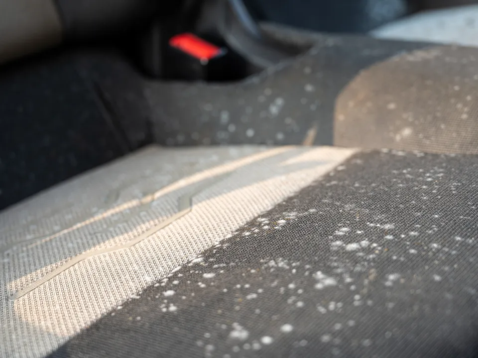 Фото: istockphoto.com