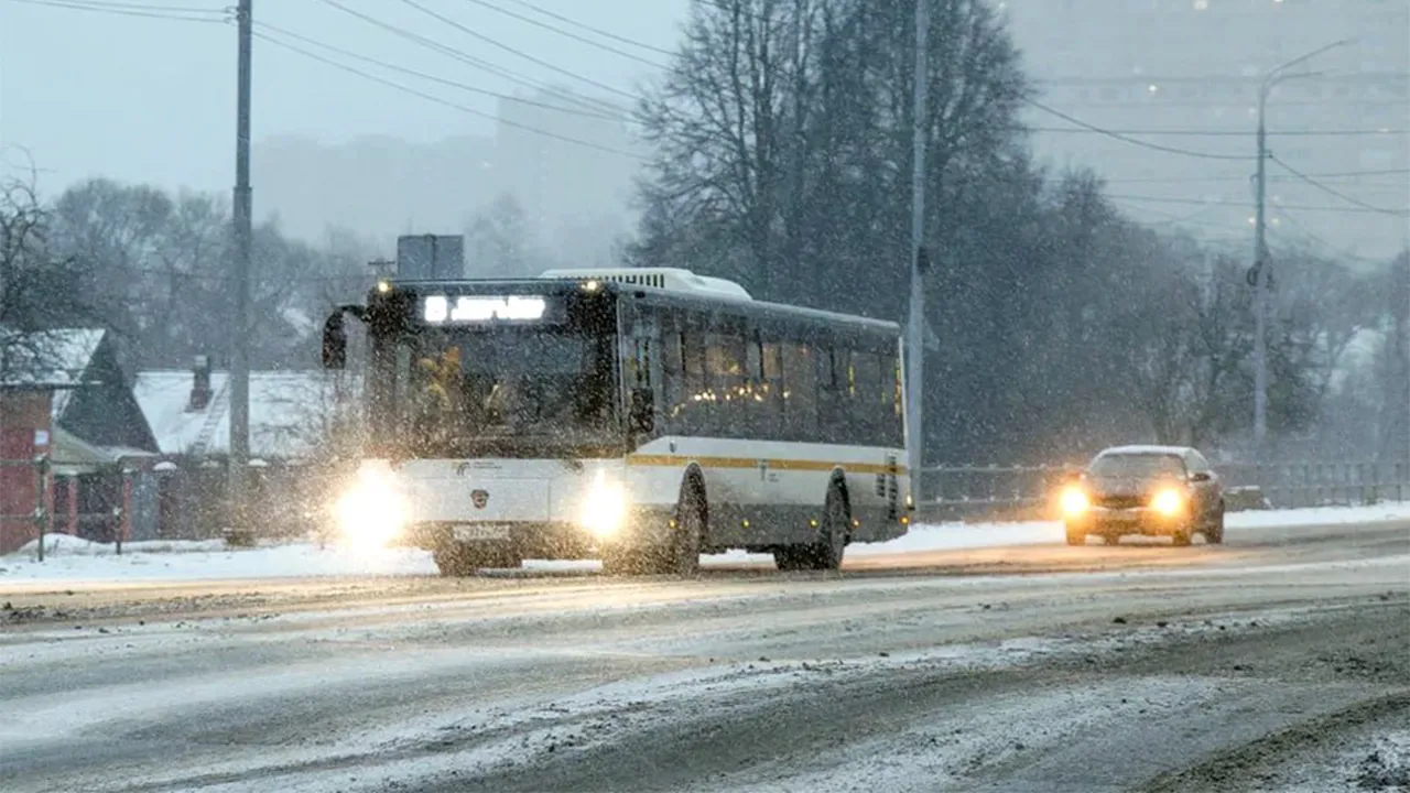пресс-служба губернатора и правительства Московской области