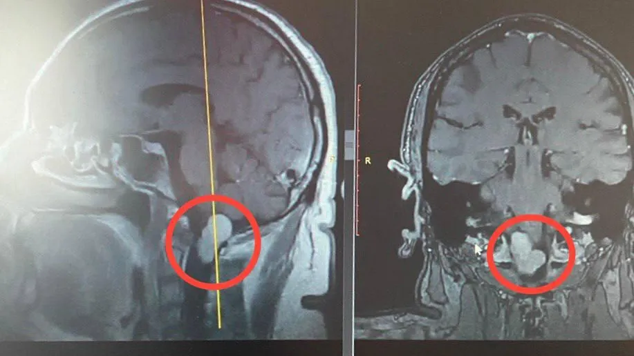 Министерство здравоохранения Московской области