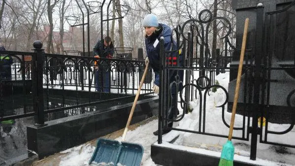 Тело с кладбища отправили на экспертизу в поселке Шаховская 