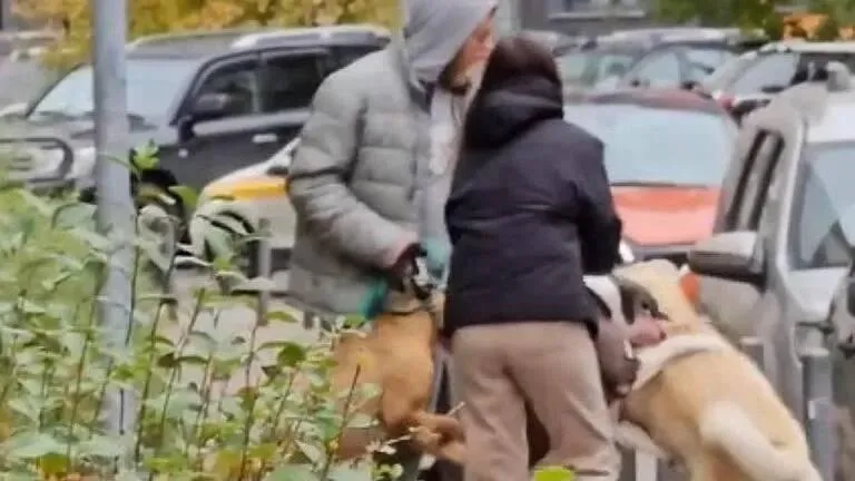 Скриншот из видео в ТГ-канале «Видный город»/https://t.me/vidno_mos/3138