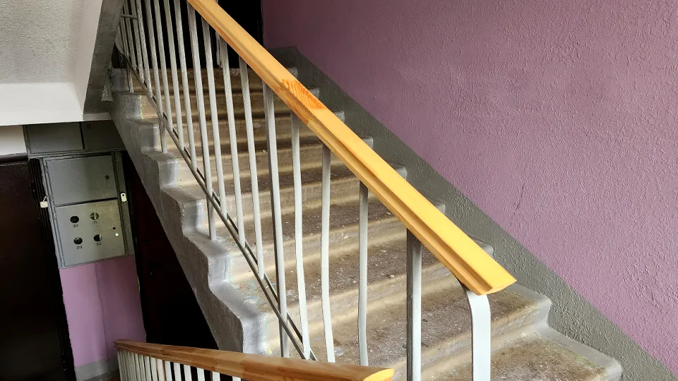 Фото: МедиаБанк Подмосковья/Ирина Моисеева