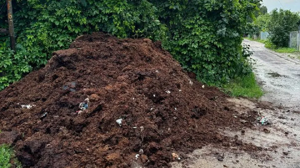 Фото: t.me/rusavkino_romanovo