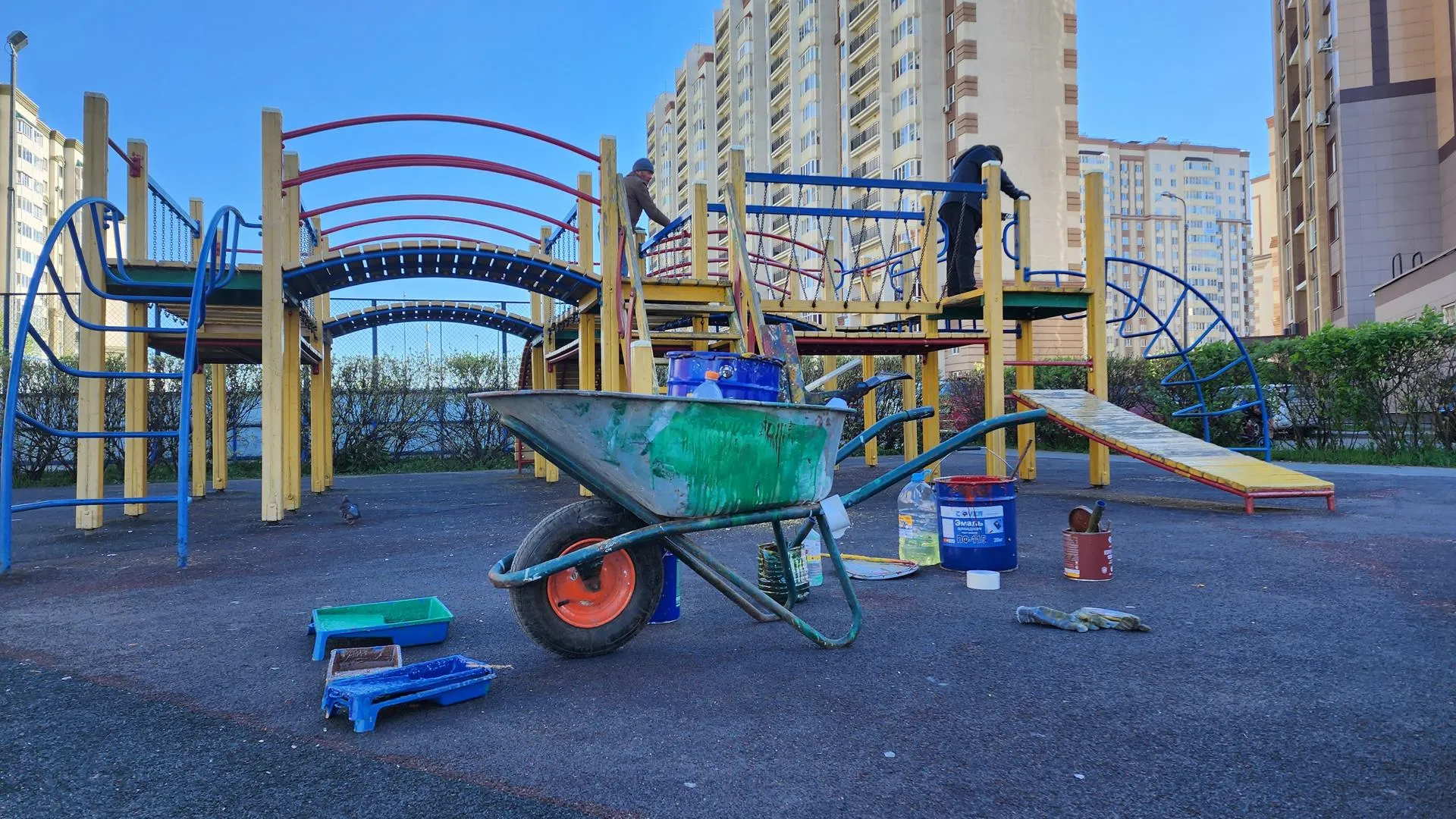 Фото: Анастасия Сараева