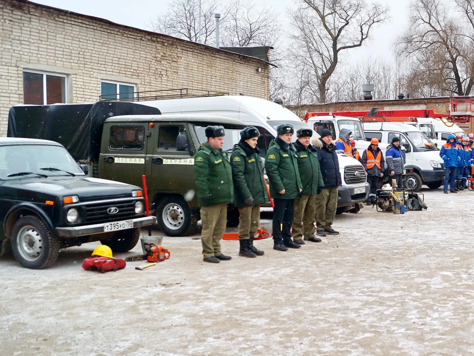 Фото: филиал «Русский лес» ГАУ МО «Мособллес»