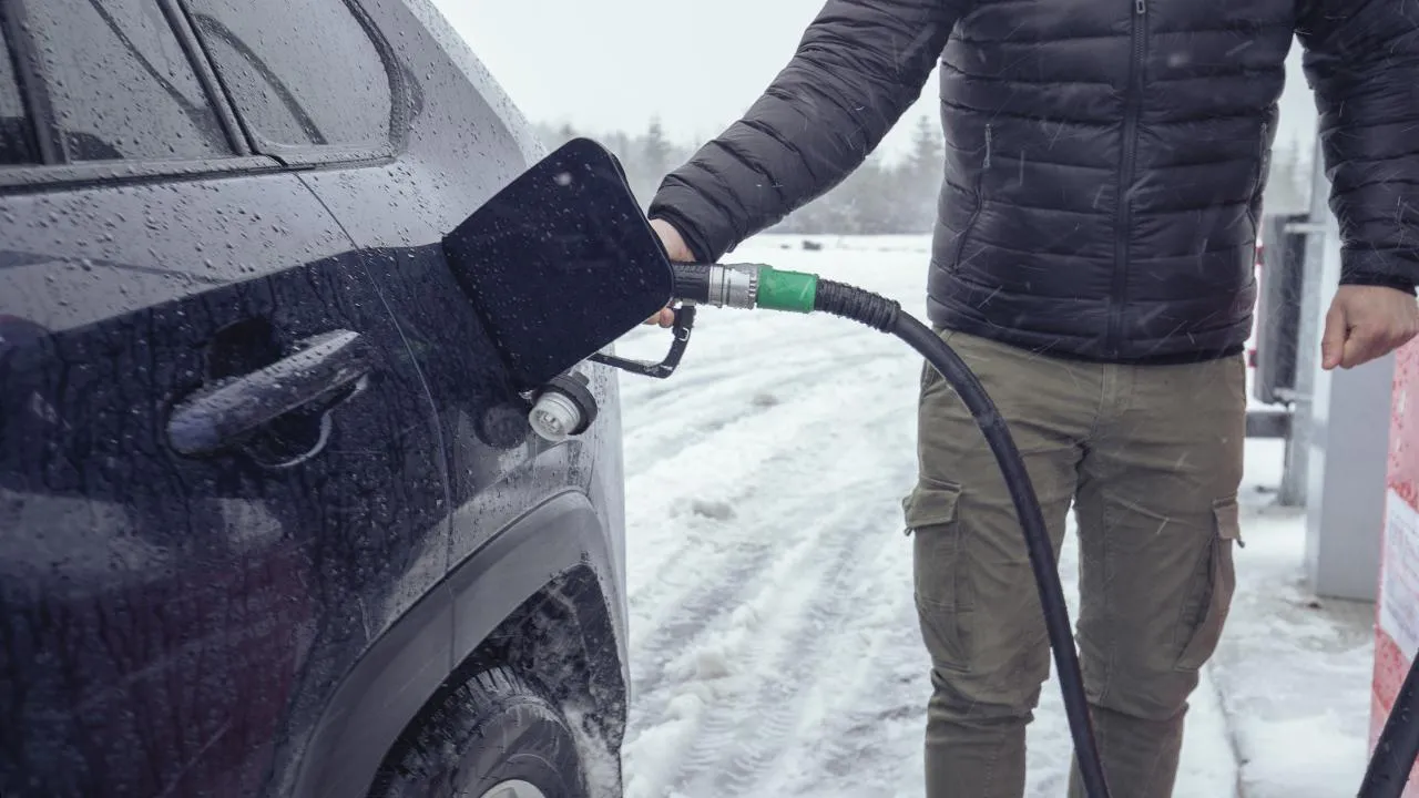 istockphoto.com/Lajst