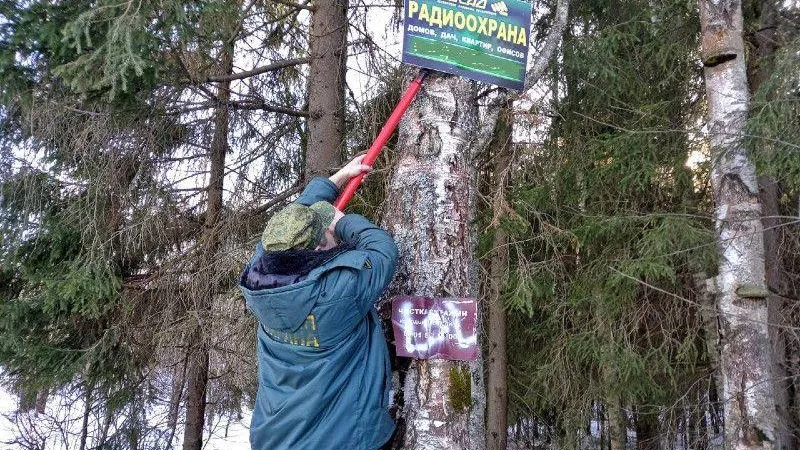В этом году из лесов Подмосковья убрали порядка 2,5 тысячи незаконных рекламных щитов