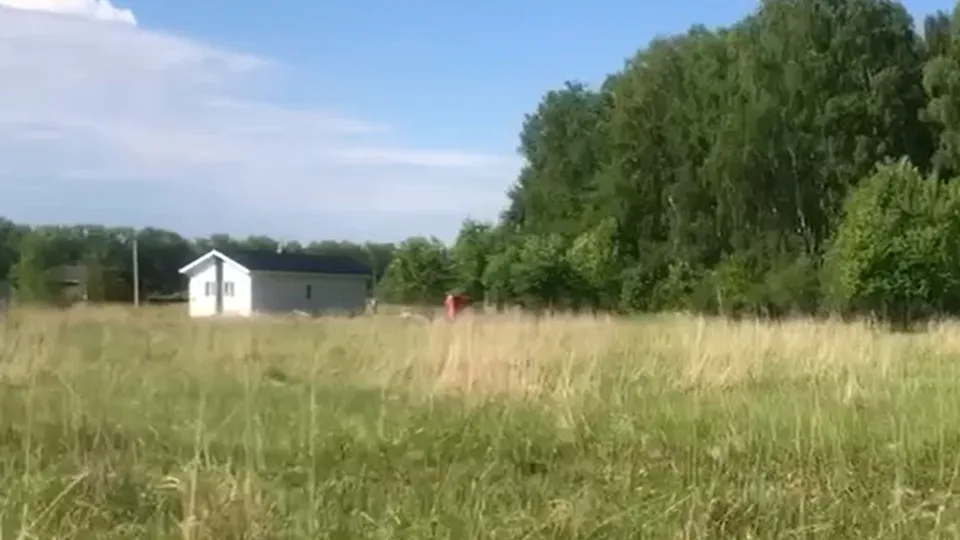 Фото: пресс-служба администрации г.о. Кашира