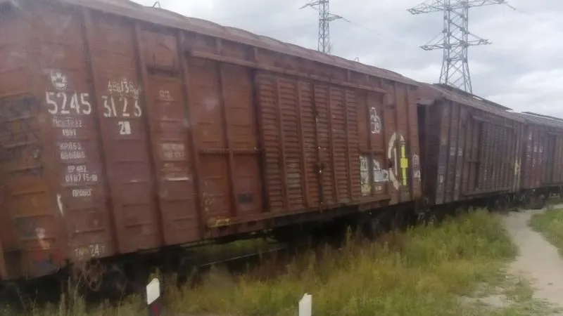 Вагоны грузового поезда сошли с рельсов в Чехове
