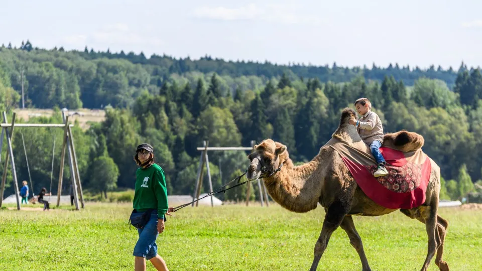 Фото: медиасток.рф