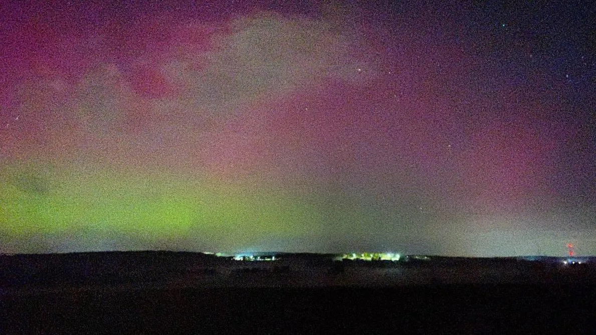 Дарья Леонова