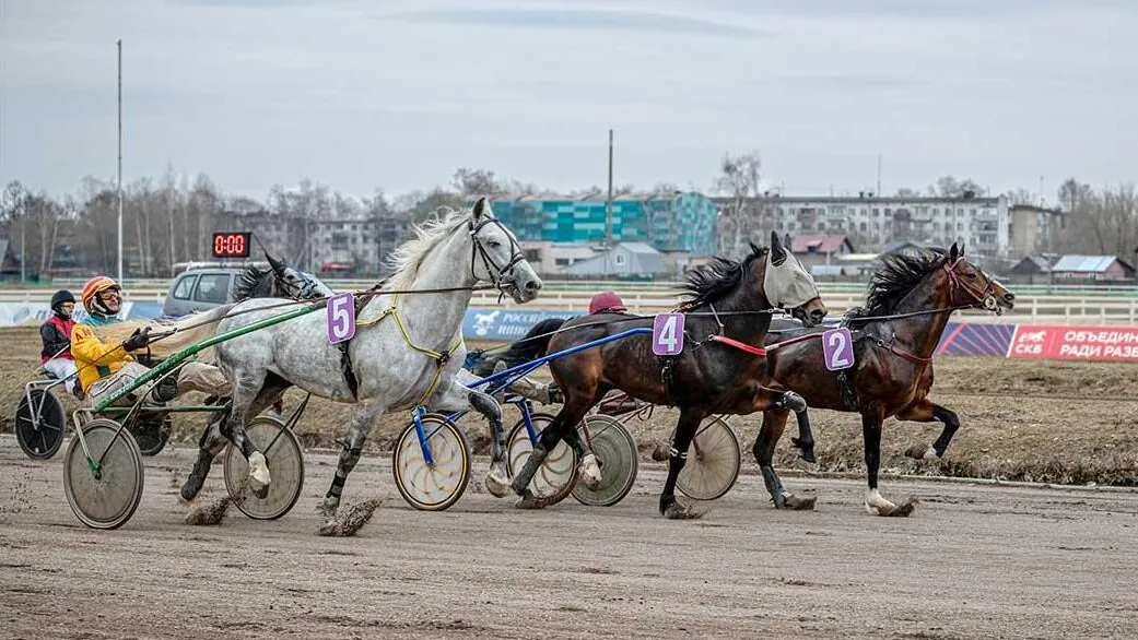 Фото: Пресс-служба Минсельхозпрода МО