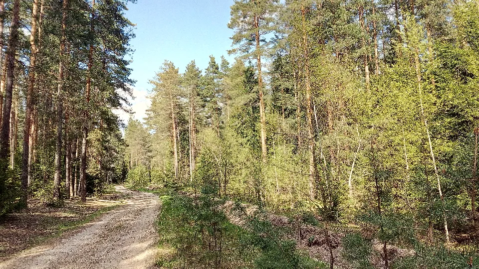 Фото: REGIONS/Василий Тремасов
