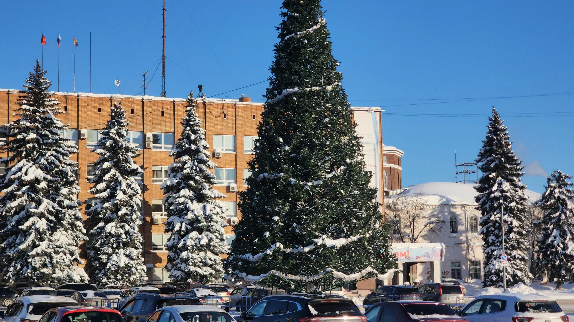 Алёна Притула