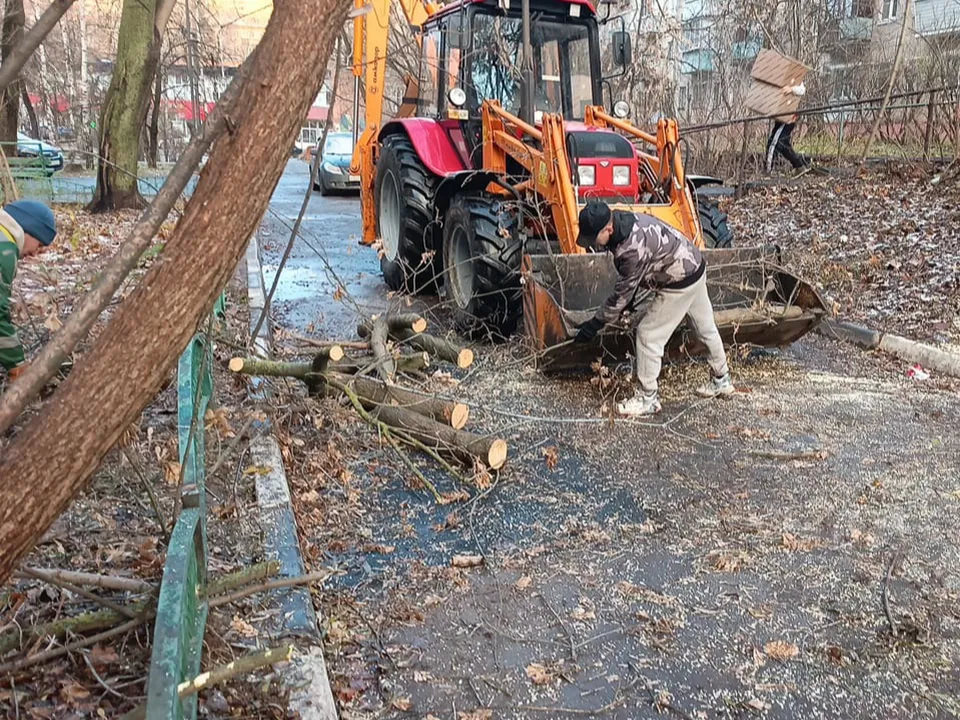 Фото: пресс-служба администрации г.о. Дзержинский