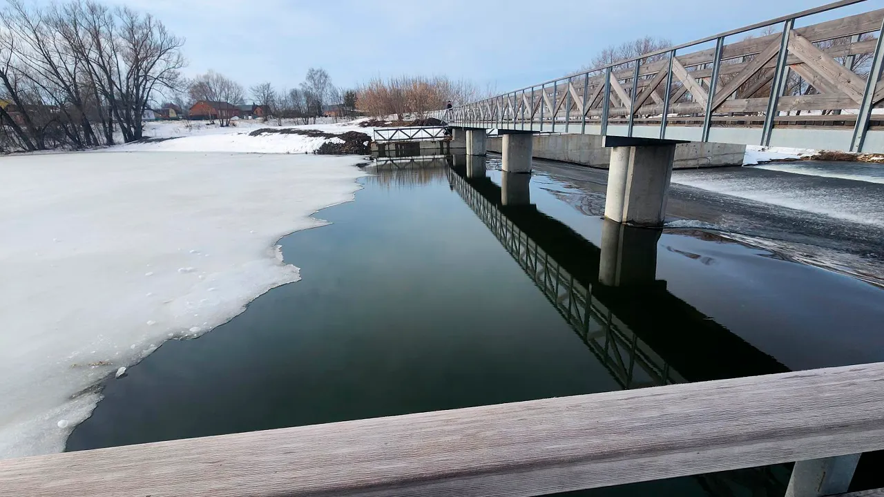 Маргарита Орлова