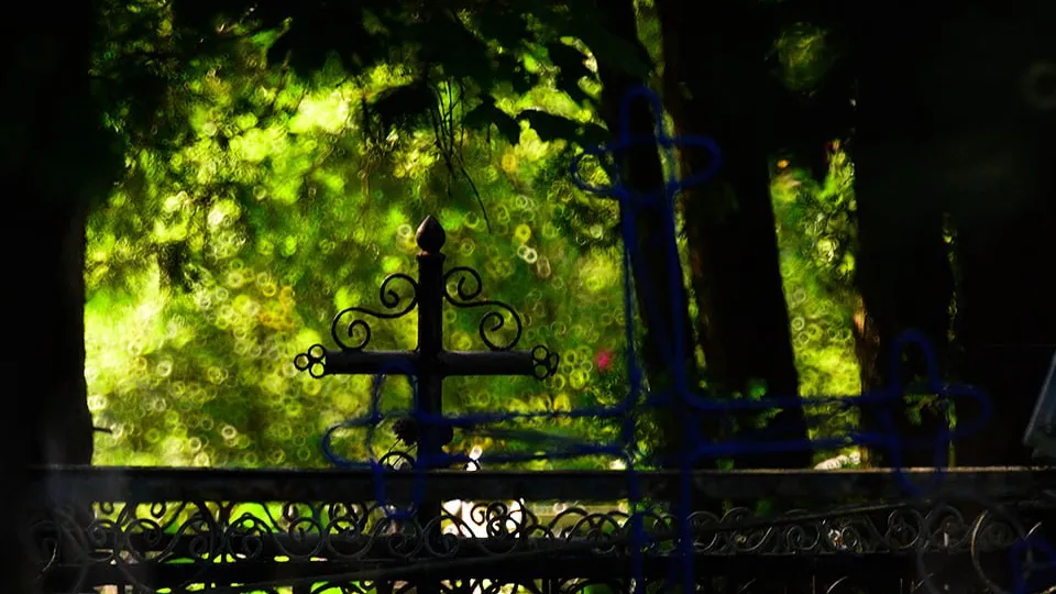 Фото: медиасток.рф