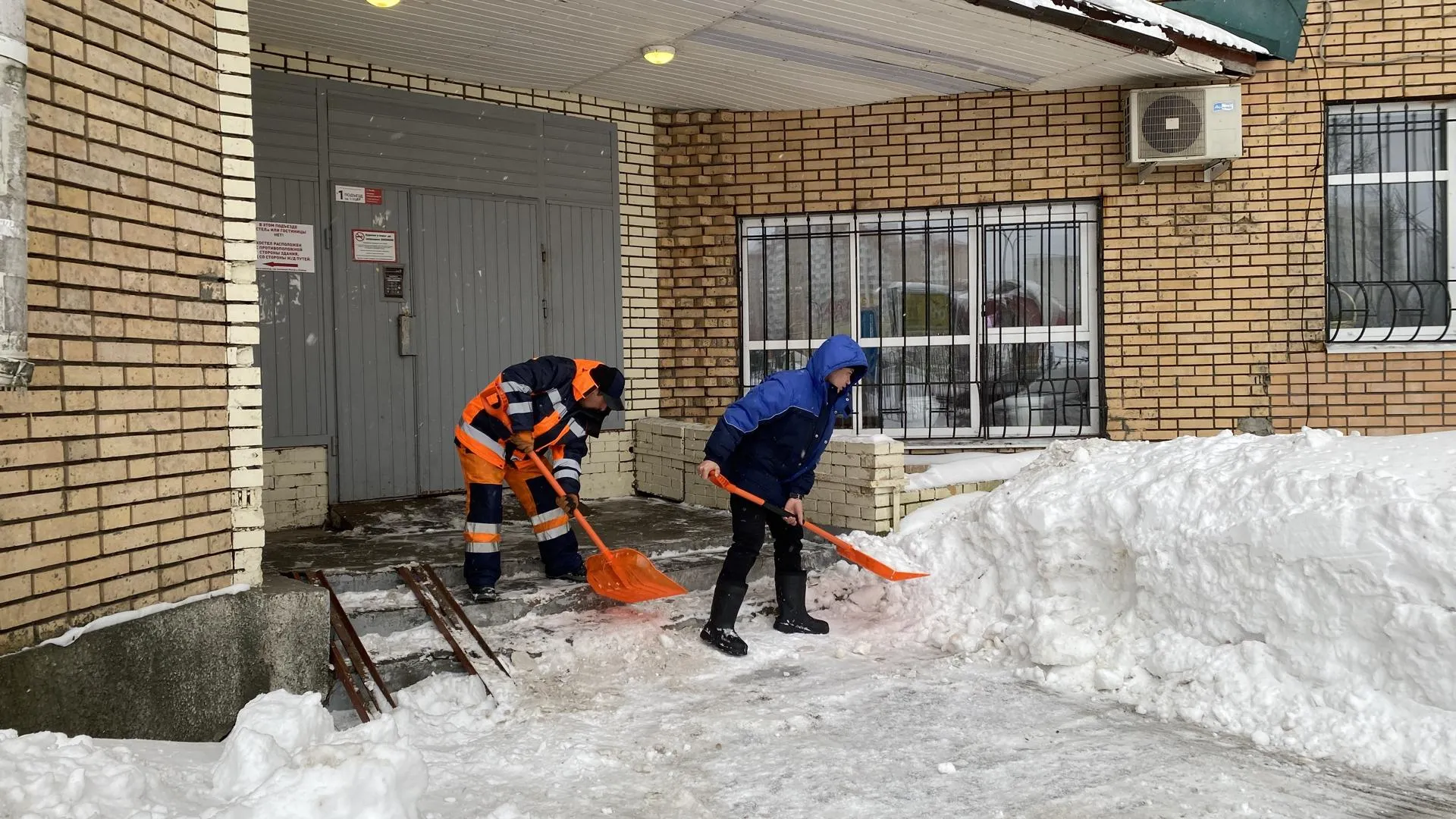 Анна Артюшина