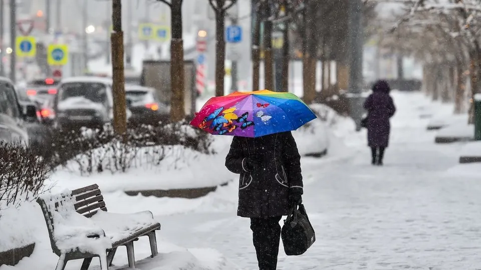 Фото: медиасток.рф