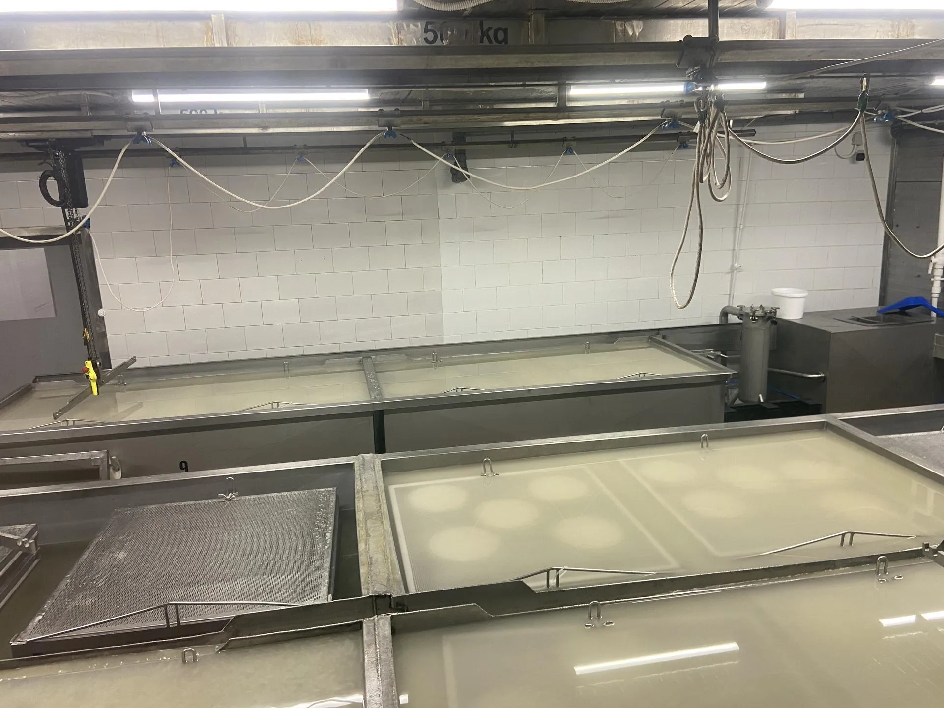 Фото: Светлана Борщева