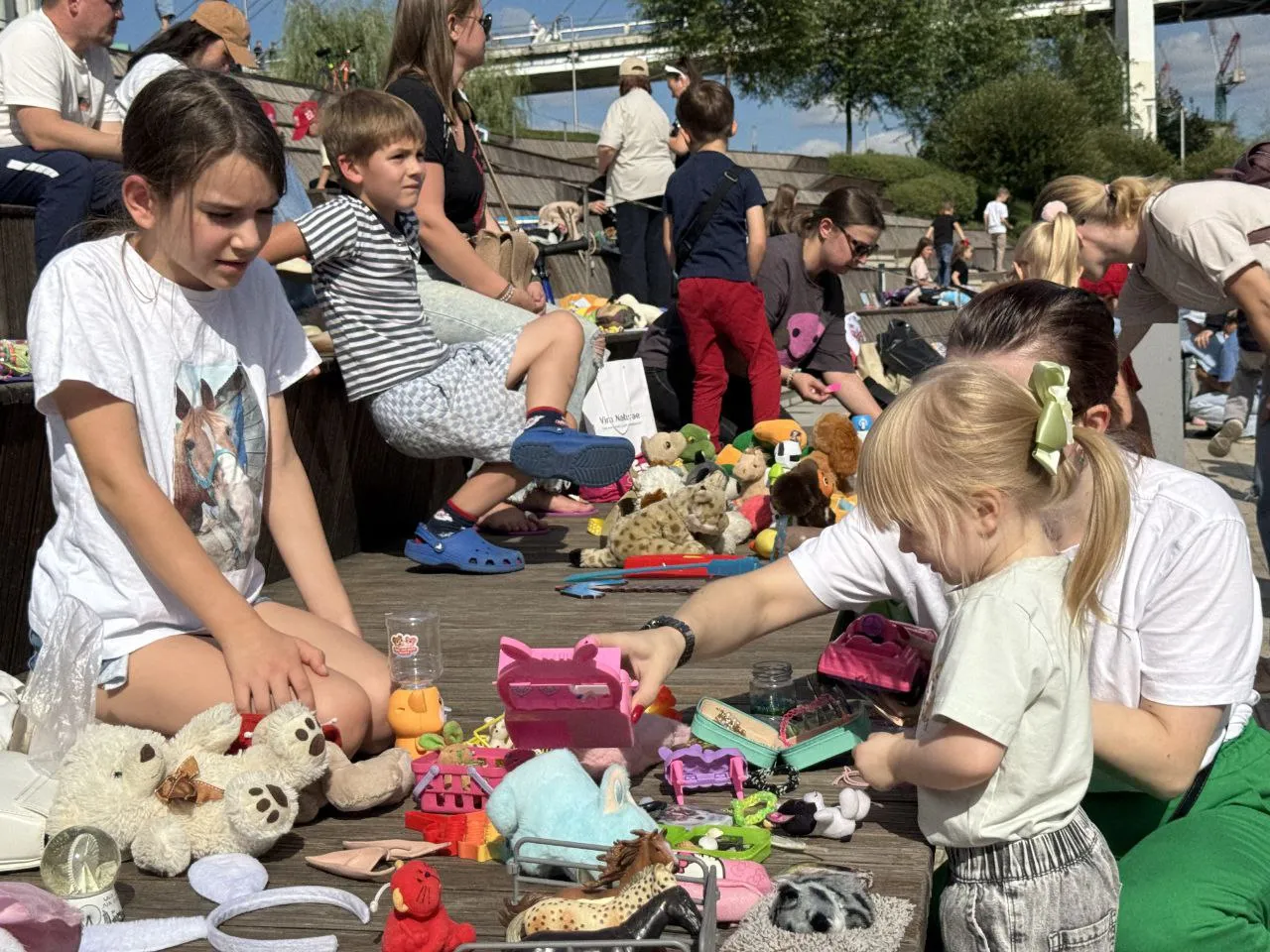 Фото: пресс-служба администрации г.о. Красногорск