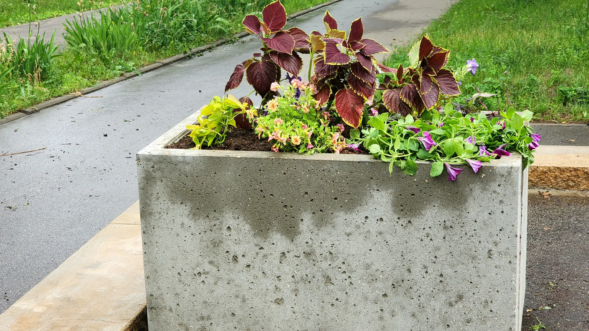 Фото: МедиаБанк Подмосковья/Мария Панина