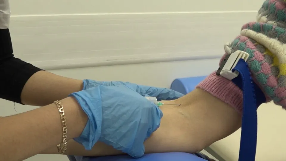 Фото: МедиаБанк Подмосковья/Наталия Надточая