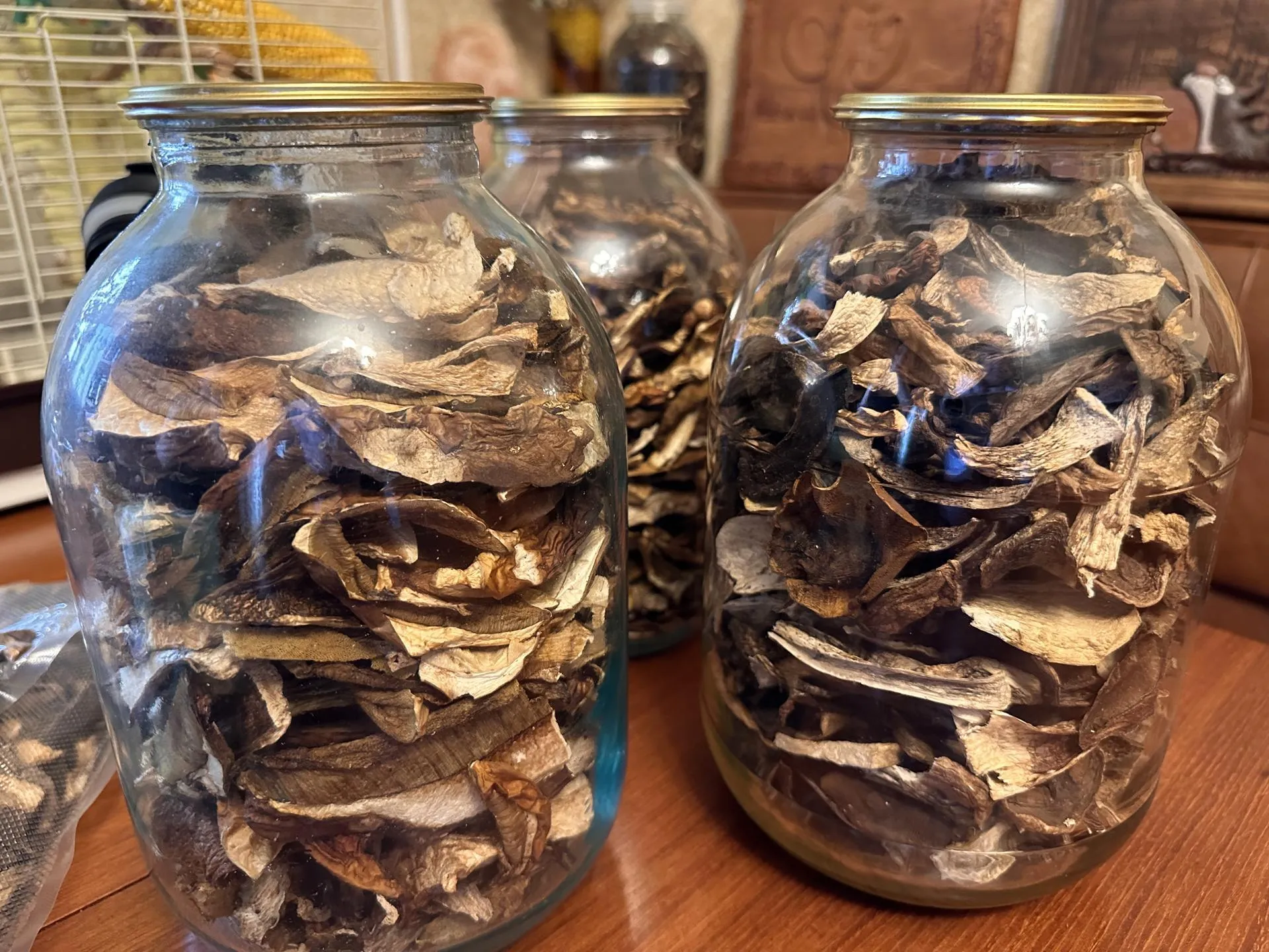 Фото: Мария Шматкова