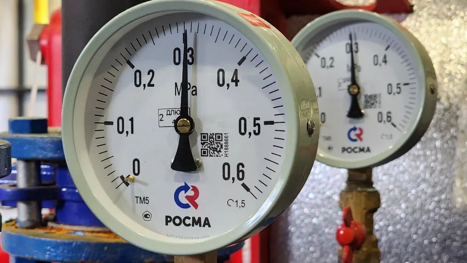 Фото: МедиаБанк Подмосковья/Екатерина Данилина