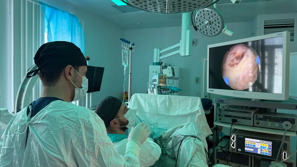 Фото: МедиаБанк Подмосковья/Светлана Борщева