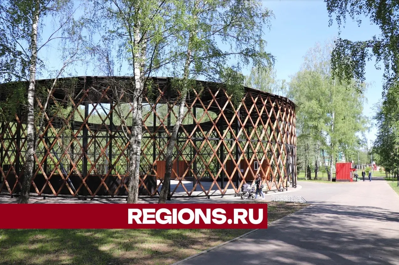 Фото: Regions / Василий Тремасов