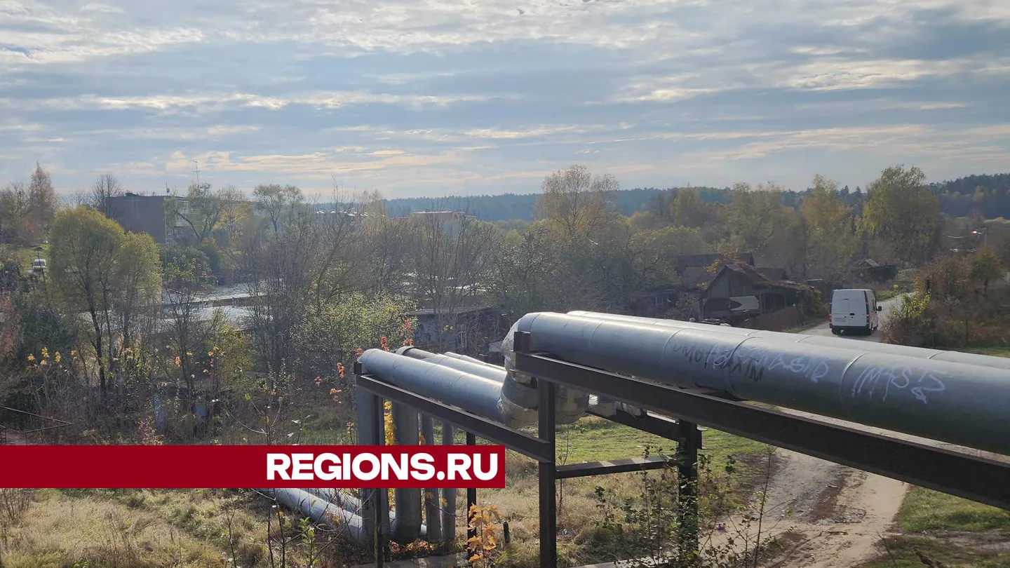 Фото: Андрей Семибратов