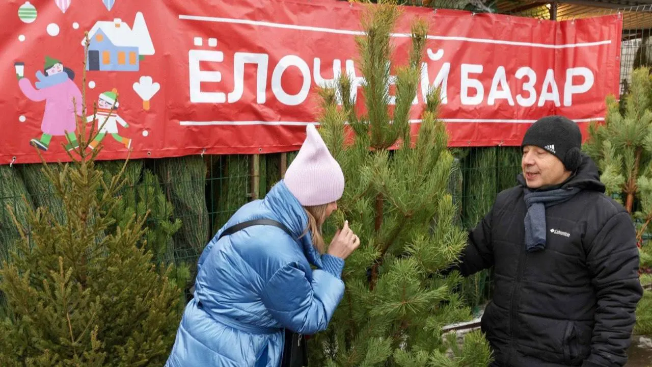 В Подольске в декабре заработают 16 елочных базаров