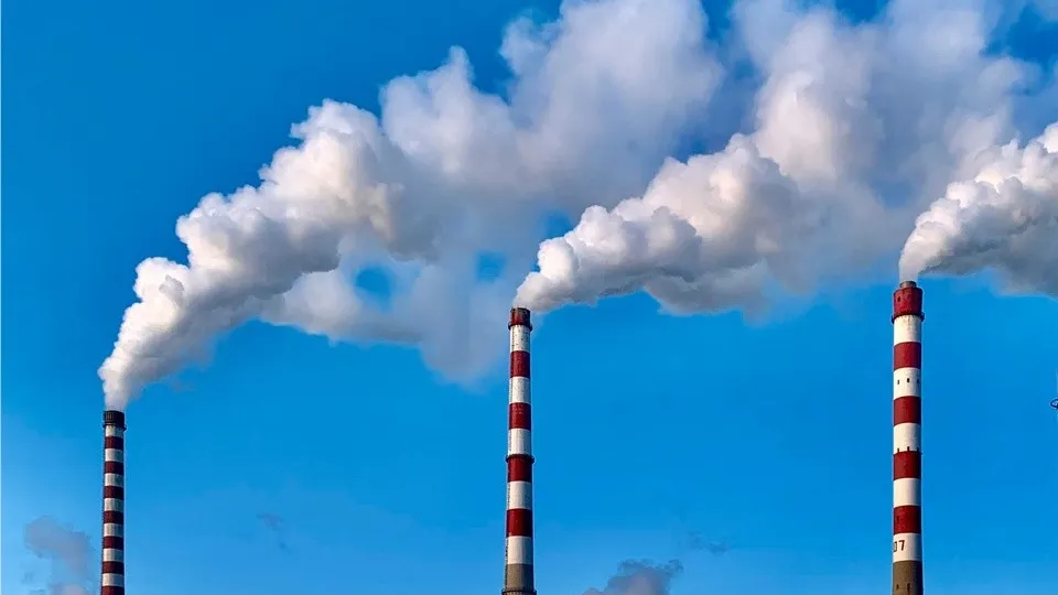 Фото: unsplash.com