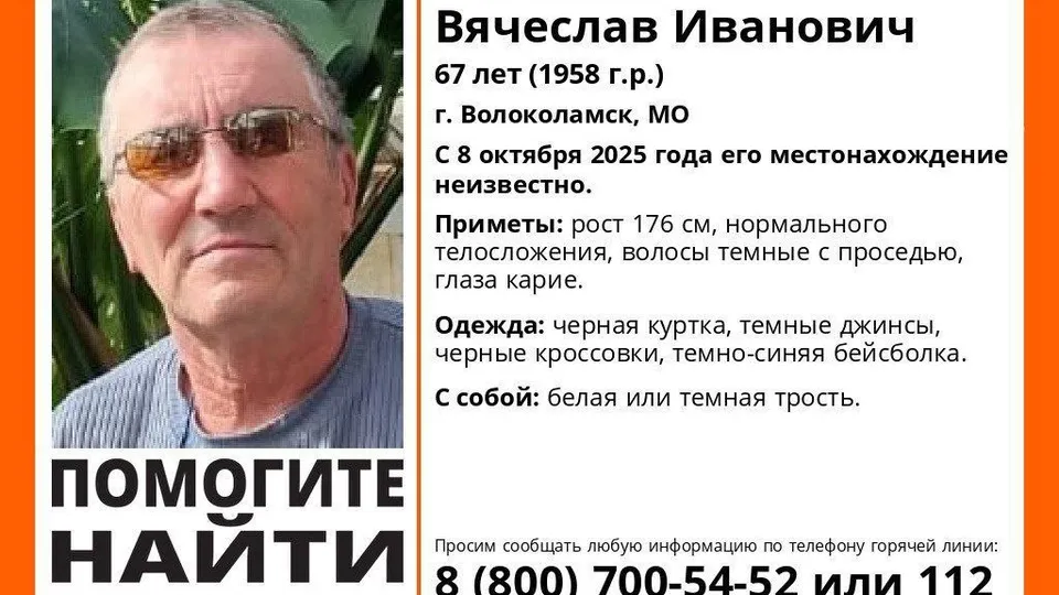 Фото: ДПСО «ЛизаАлерт»