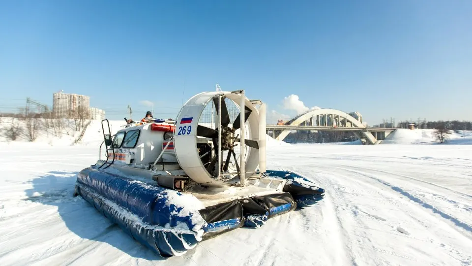 Фото: пресс-служба администрации г.о. Химки