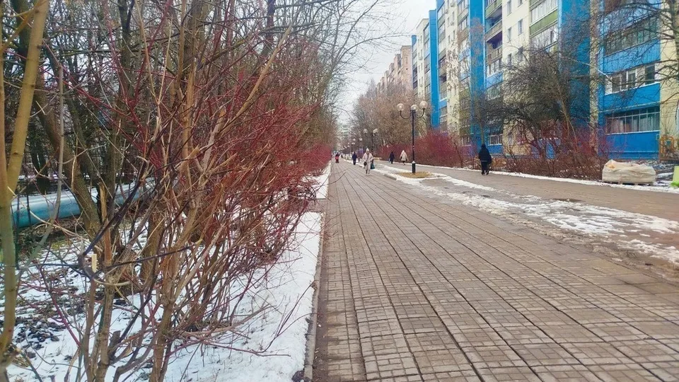 Фото: администрация городского округа Краснознаменск