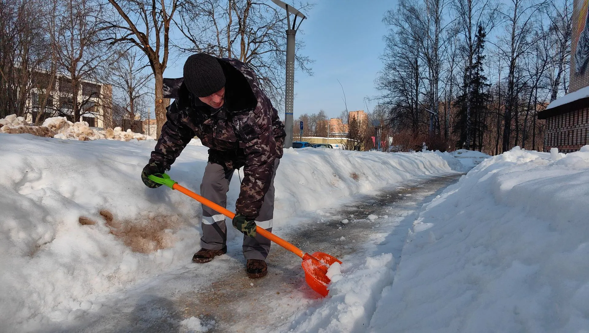 Елена Катасонова
