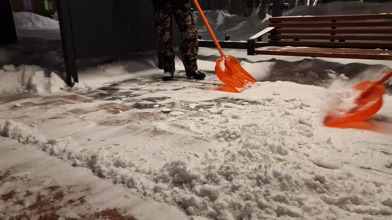 REGIONS/Полина Пахомова