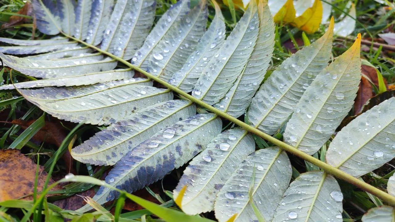 Фото: REGIONS/Елена Забелина