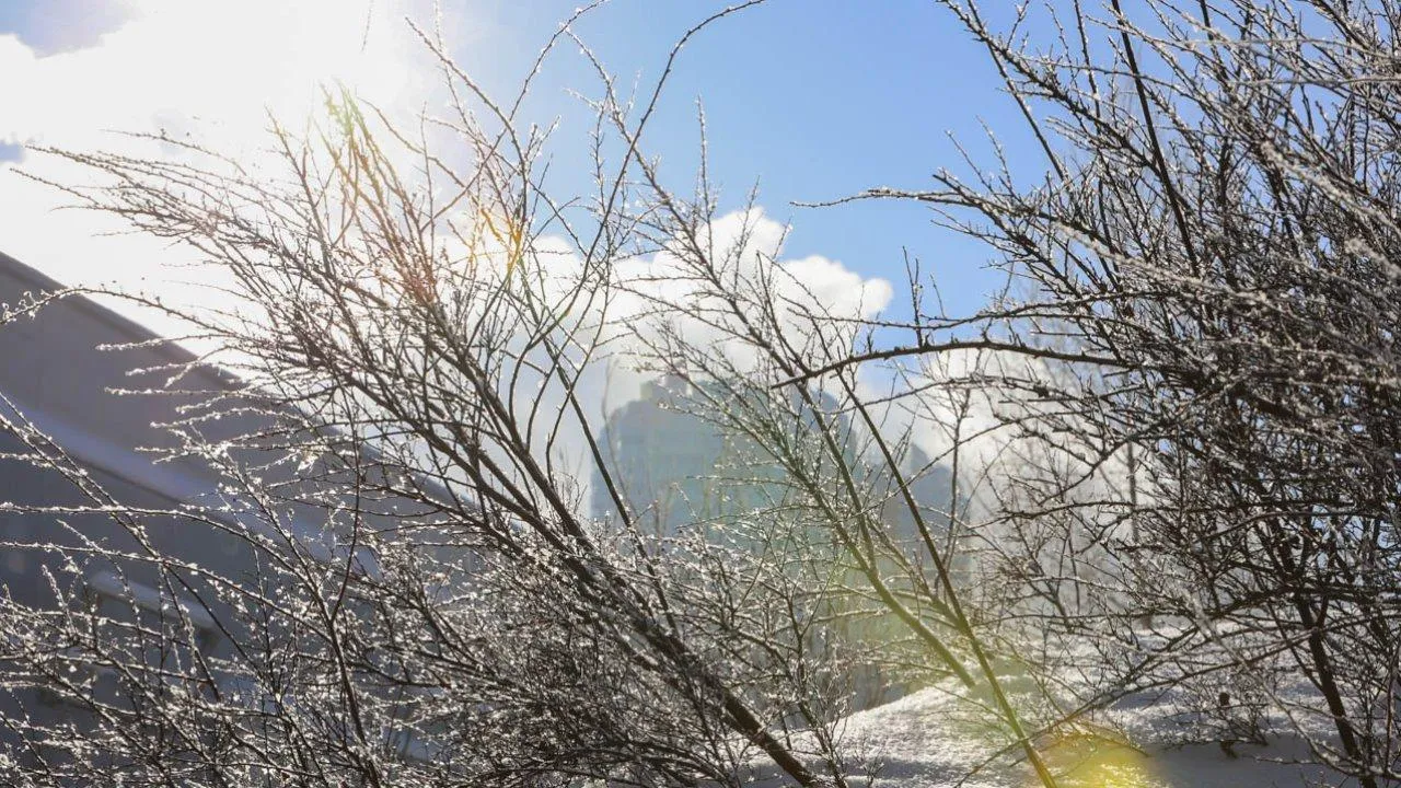 REGIONS/Роман Малышенко