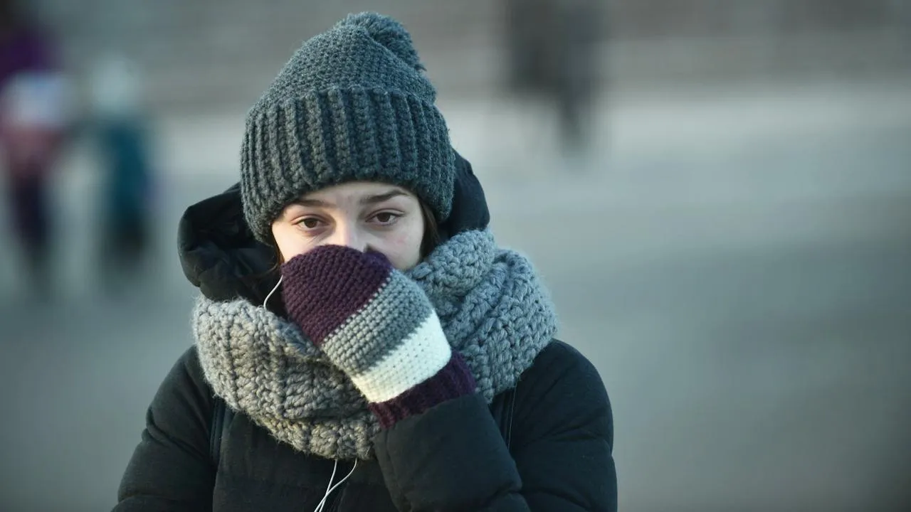 медиасток.рф