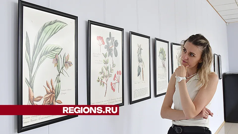 Фото: REGIONS/Наталья Бычкова