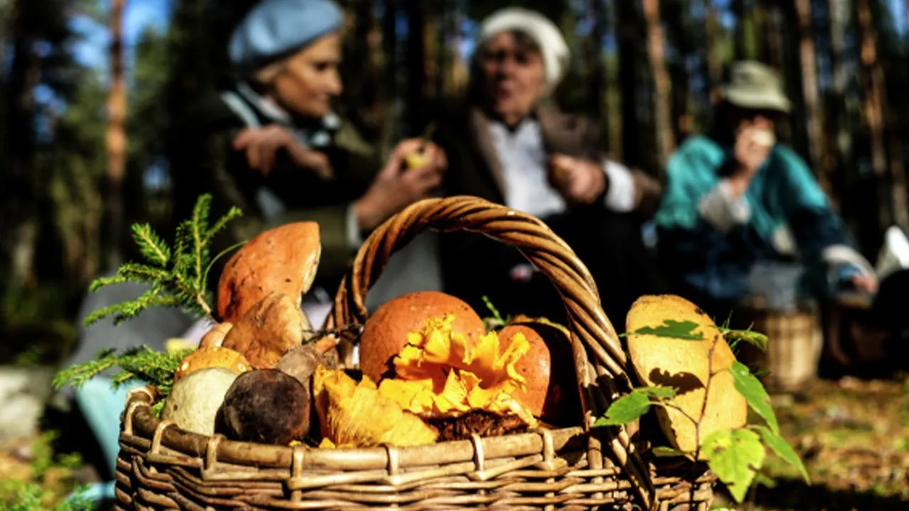 ©Константин Чалабов/Риа Новости