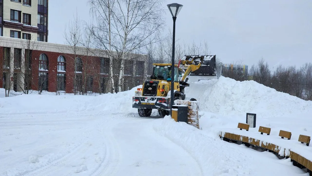 Елена Шумакова