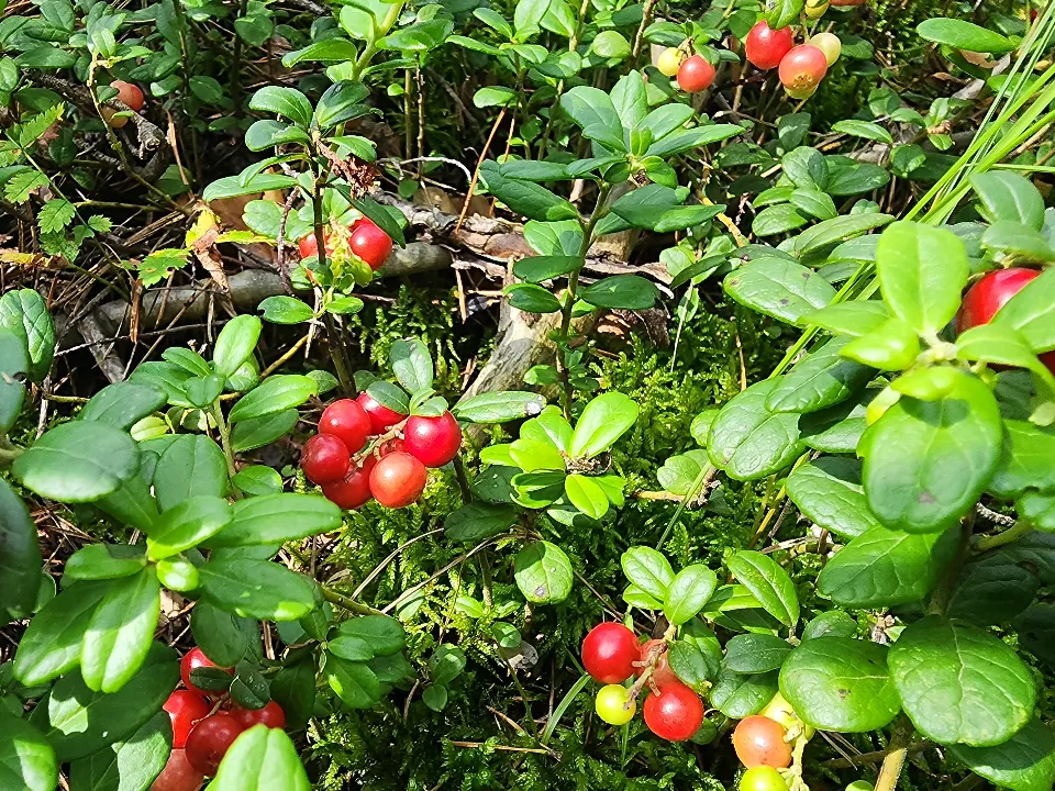 Фото: личный архив Михаила Мартыненко