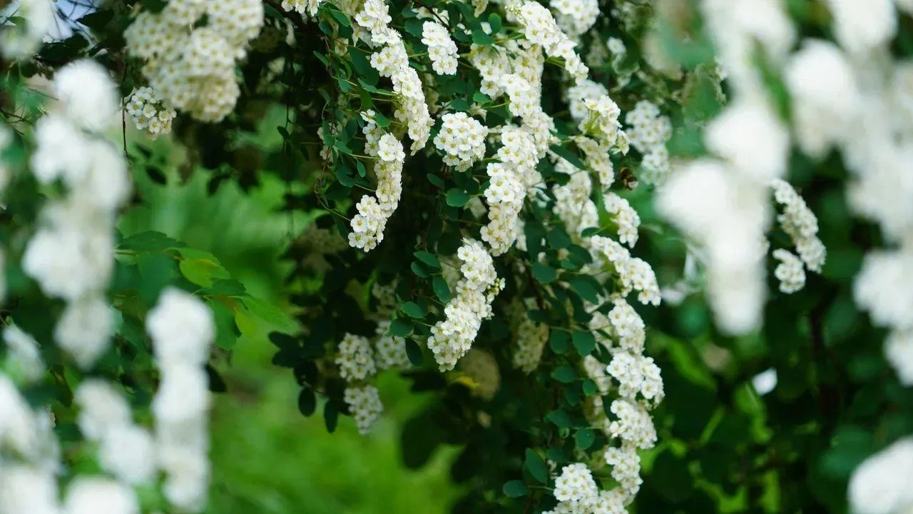 REGIONS/Наталья Надточая