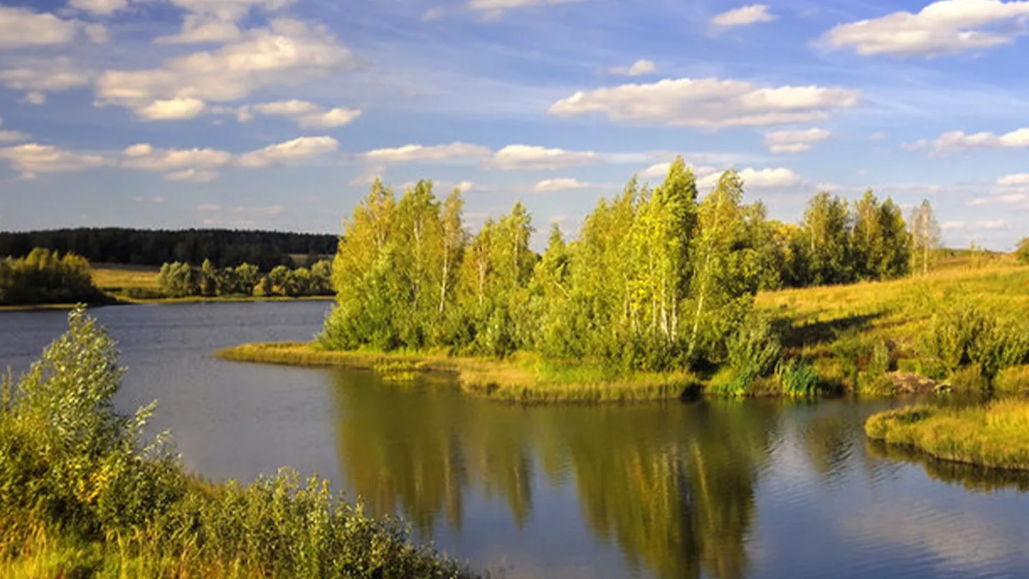 Фото: Алексей Андросов
